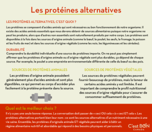 FRE Alternative Proteins Infographic