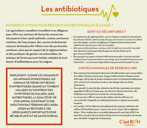 FRE Antibiotic Infographic
