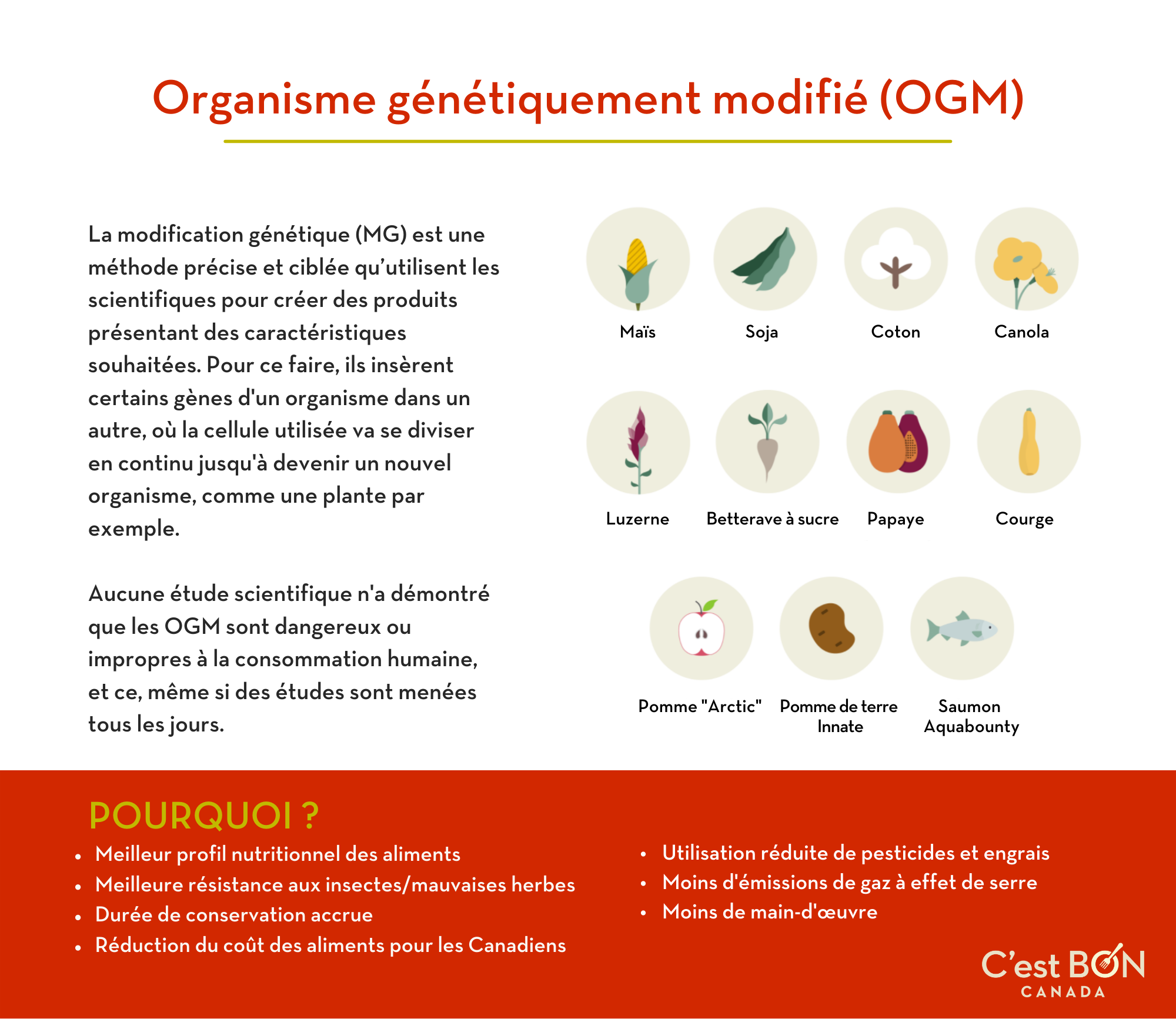 FRE GMOs Infographic